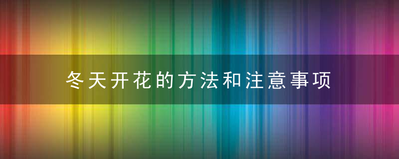 冬天开花的方法和注意事项 在冬天开花的方法和注意事项一览